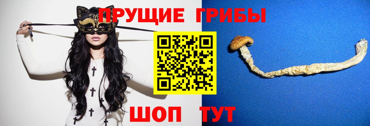 Псилоцибиновые грибы Psilocybine cubensis Калуга