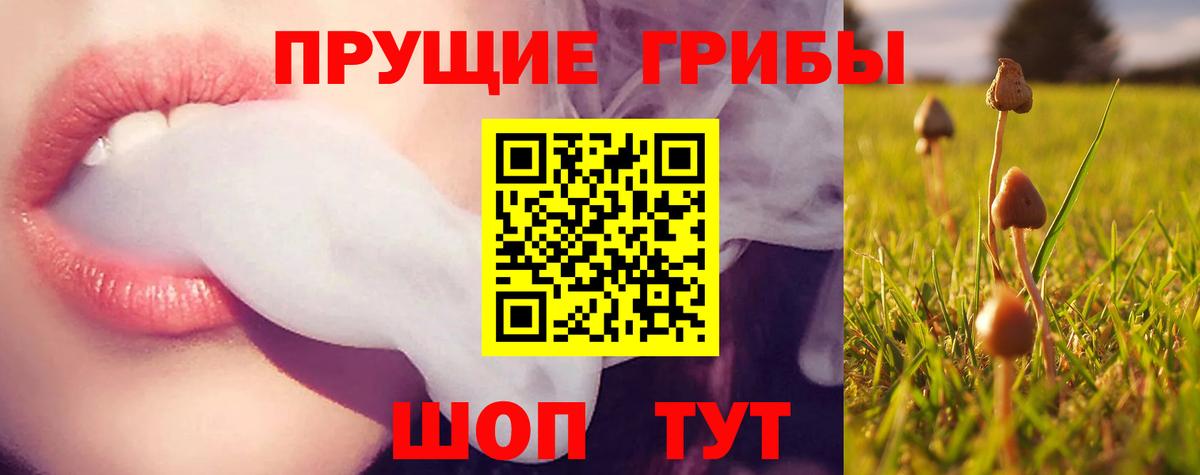 Калуга  Псилоцибиновые грибы Magic Shrooms  Псилоцибиновые грибы Psilocybine cubensis  Вход с VPN 